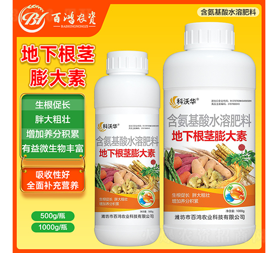 地下根莖膨大素-百鴻農業