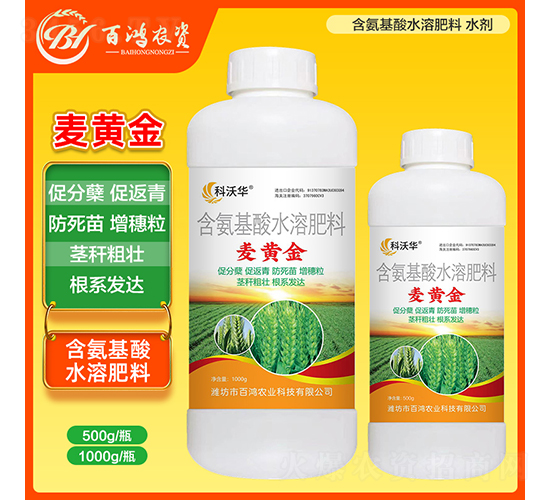 麥黃金-百鴻農業