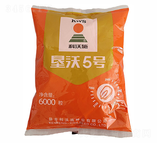 墾沃5號(hào)玉米種子-科沃施-宏金農(nóng)業(yè)