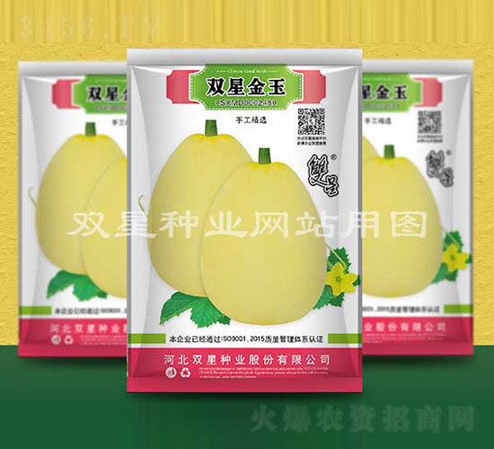 雙星金玉-甜瓜種子-雙星種業