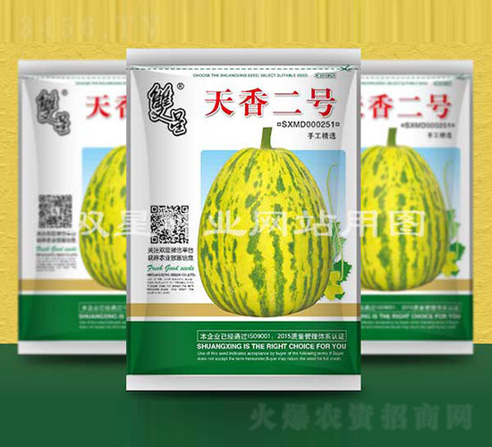 天香二號-甜瓜種子-雙星種業(yè)