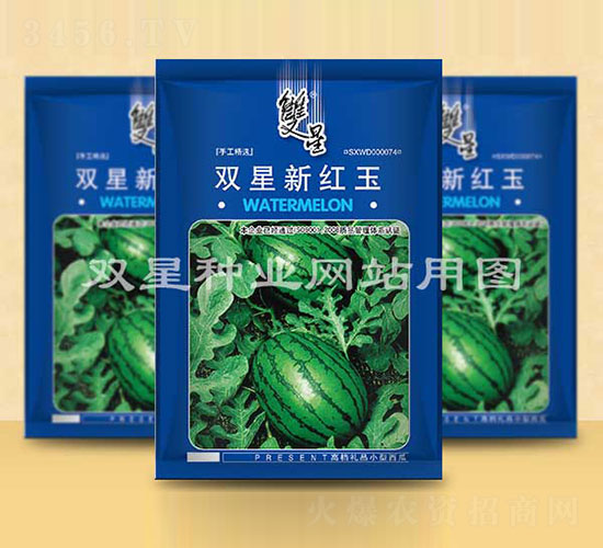 雙星新紅玉-西瓜種子-雙星種業