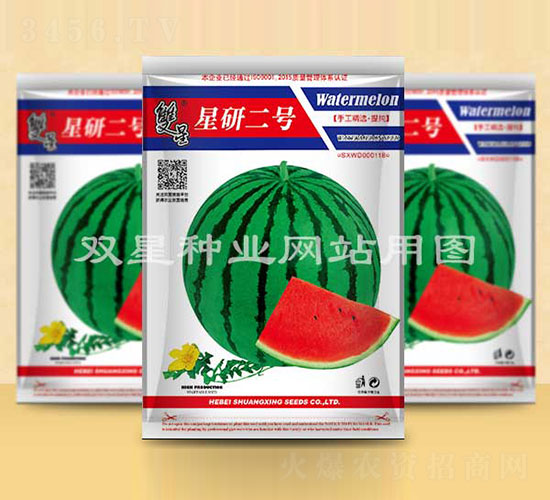 星研二號-西瓜種子-雙星種業