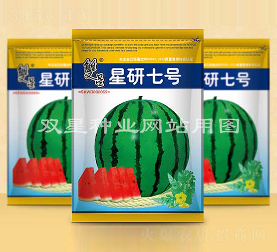 ̖-ϷN-pǷNI