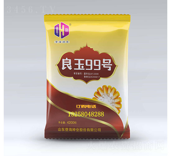 良玉99-玉米種子-登海潤農