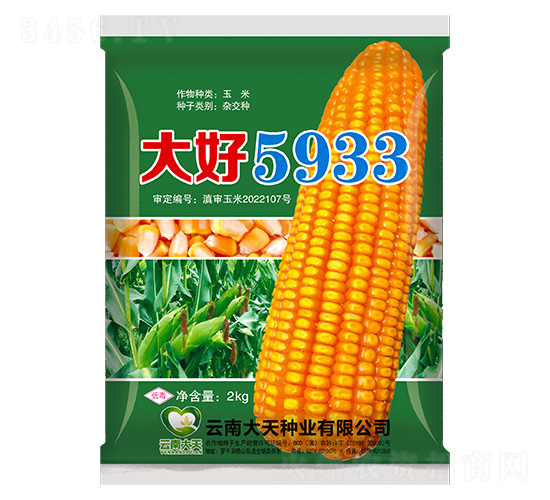 玉米種子-大好5933-大天種業