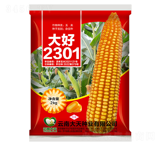 玉米種子-大好2301-大天種業