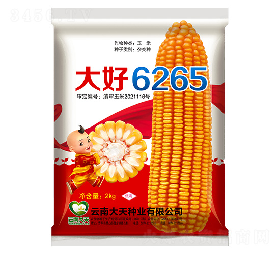 玉米種子-大好6265-大天種業
