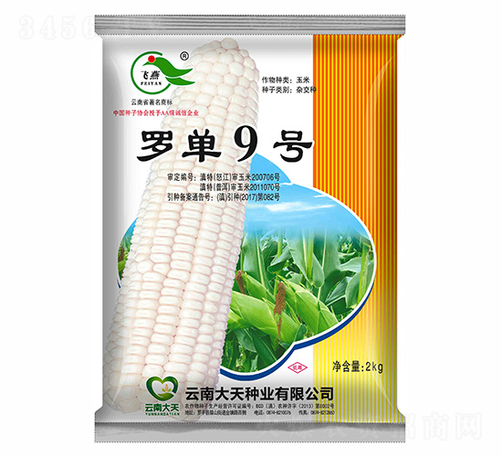 玉米種子-羅單9號-大天種業