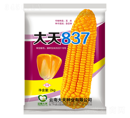 玉米種子-大天837-大天種業
