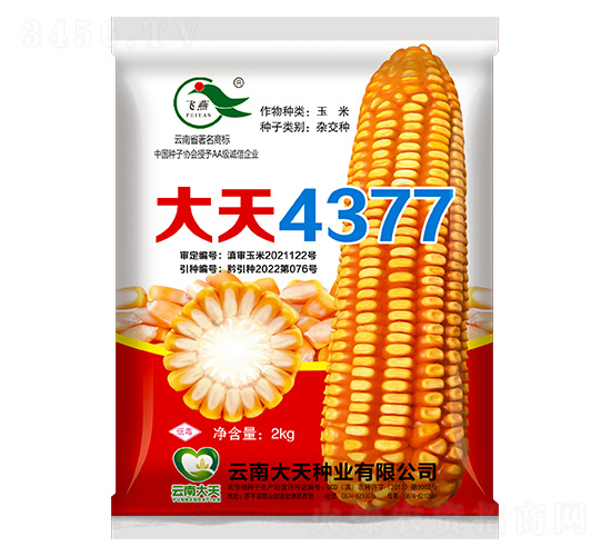 玉米種子-大天4377-大天種業