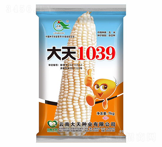 玉米種子-大天1039-大天種業(yè)