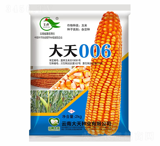 玉米種子-大天006-大天種業