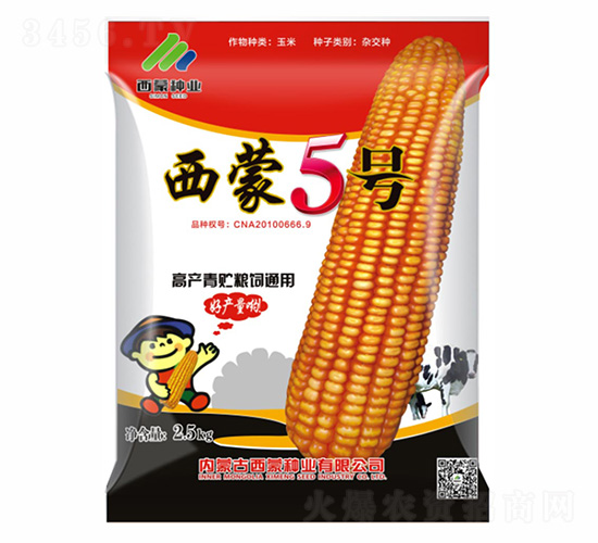 西蒙青貯5號-西蒙種業