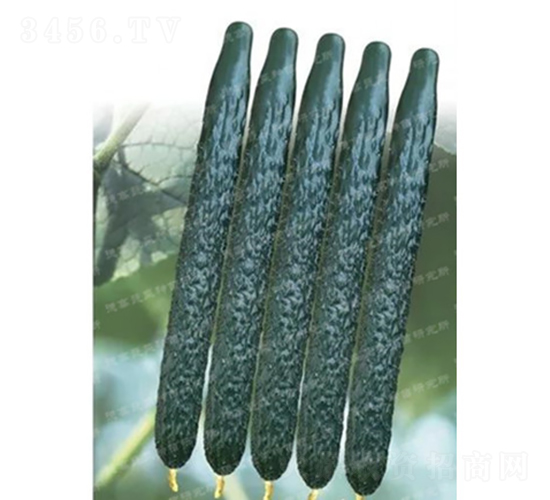 ¸C57S-SϷN-¸߷NI