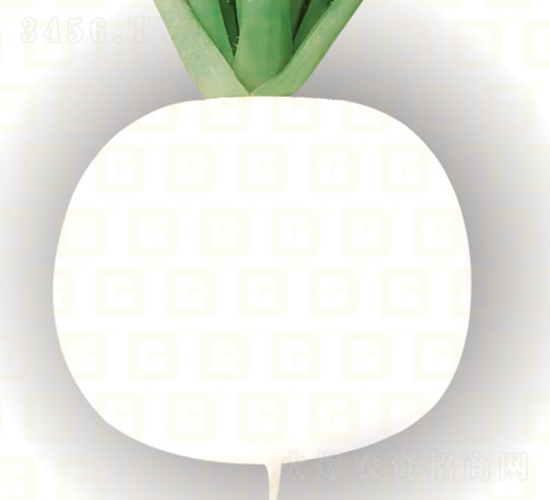 }-¸߰ٸ-}N-¸߷NI
