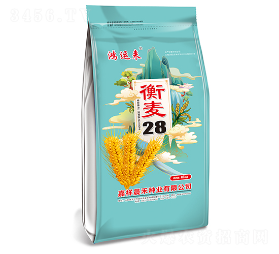 衡麥28小麥種子-鴻運來-晨禾種業