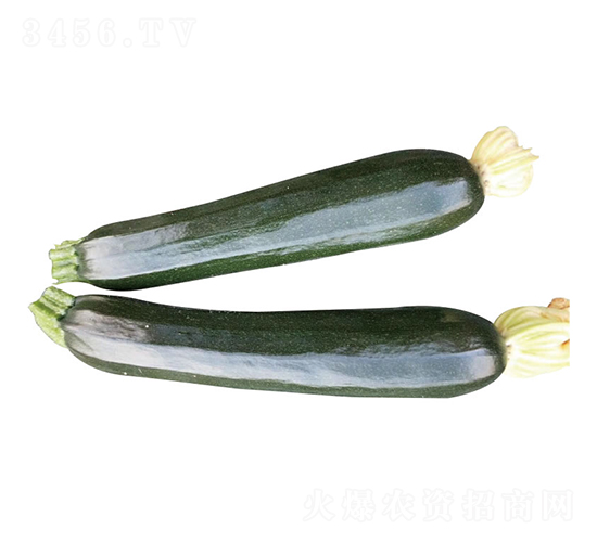 -JN-clʢ