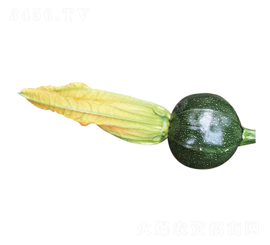 -JN-clʢ