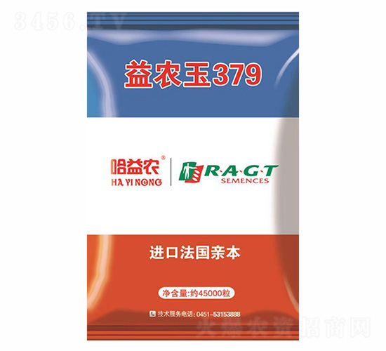 益農玉379-金杉種業