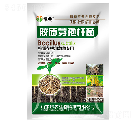 膠質芽孢桿菌-爆典-妙農生物