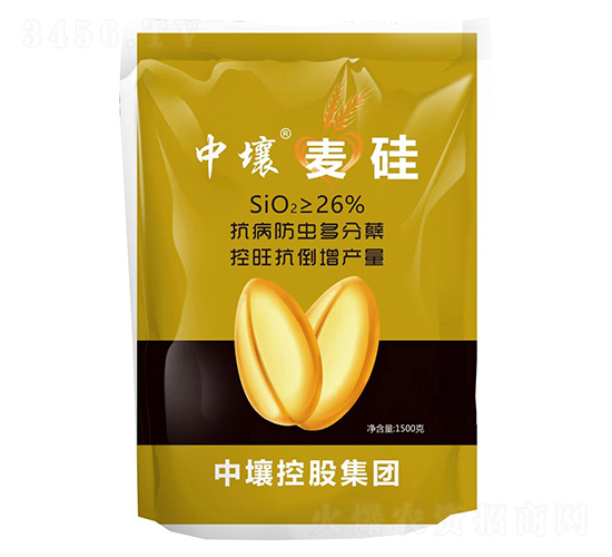 麥硅-中壤