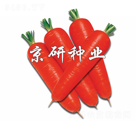tо95-}N-зNI