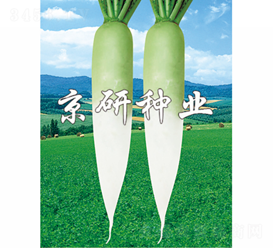 2̖-}N-зNI