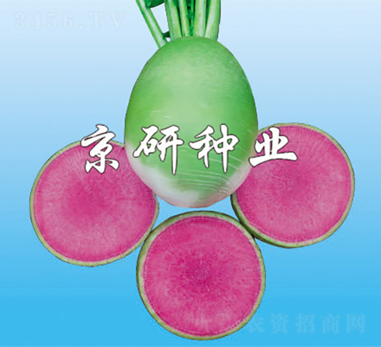 2̖ͣ-}N-зNI