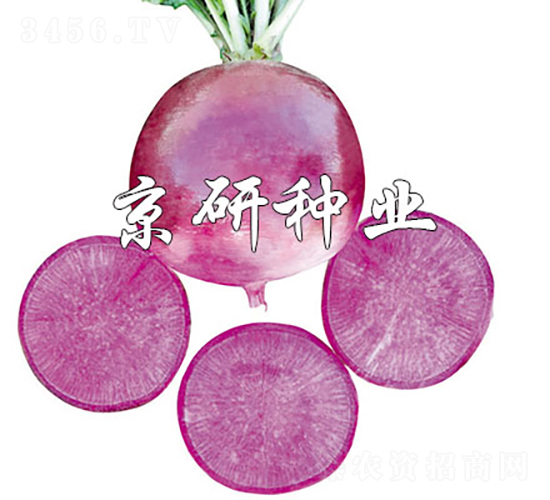 ϵ-}N-зNI