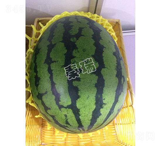 2̖-ϷN-