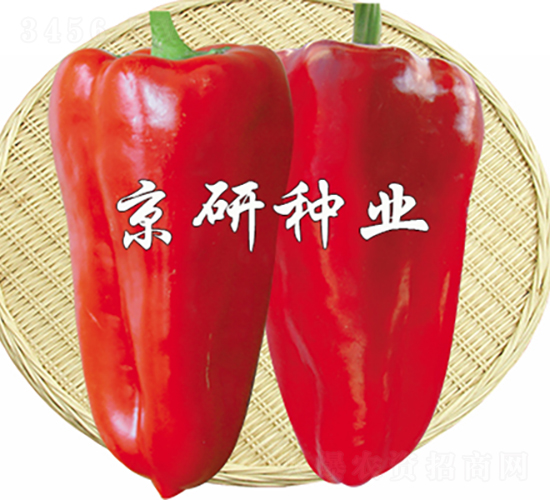 T4̖-N-зNI