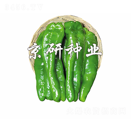 J-N-зNI