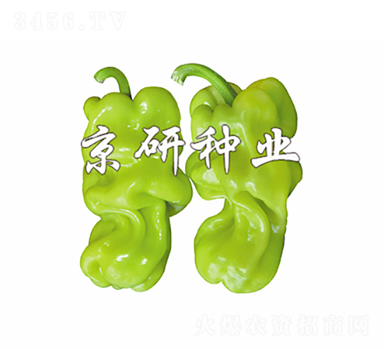 Ƥ1̖-N-зNI