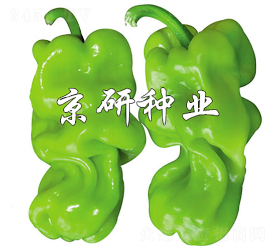 аƤ3̖-N-зNI
