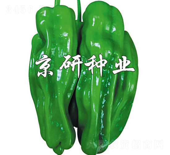 2̖-N-зNI