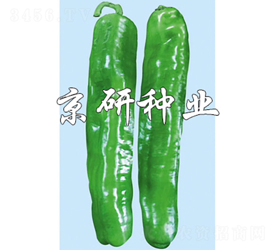 3̖-N-зNI