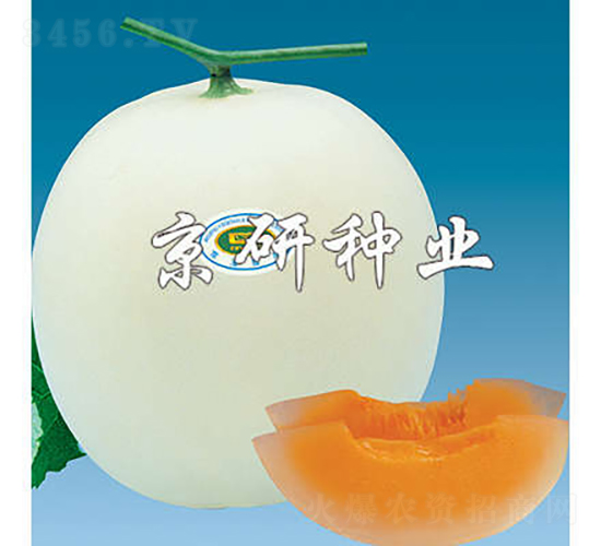 2̖-ϷN-зNI