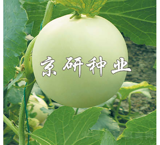 1̖-ϷN-зNI
