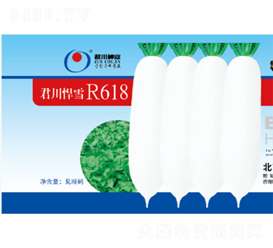 ѩR618-}N-NI