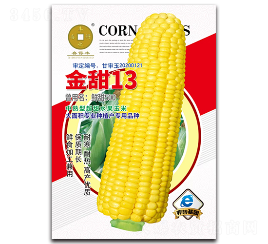 金甜13-玉米種子-華為種業