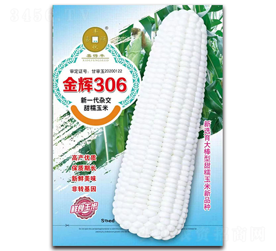 x306-׷N-ANI