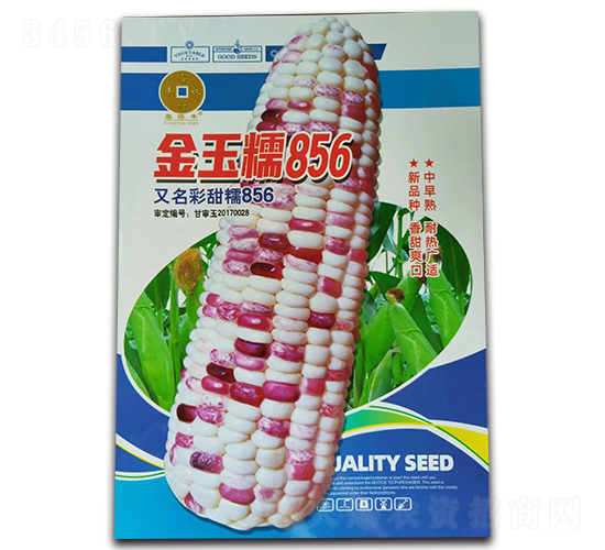 Ŵ856-׷N-ANI