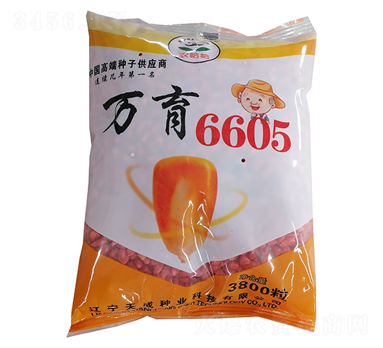 玉米種子-萬育6605-農哈哈-天成種業