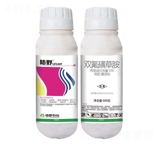 10%pǲݰҸ-Ұr