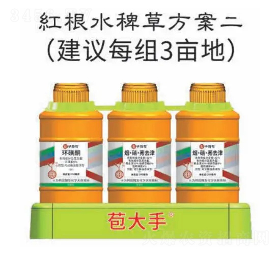 tˮ޲ݷ--nѻW