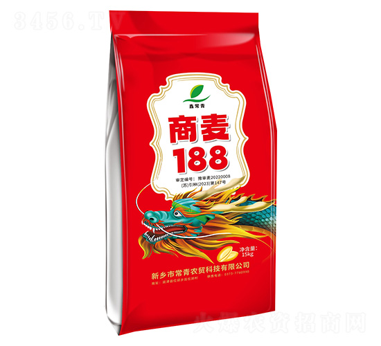 商麥188-小麥種子-常青農貿