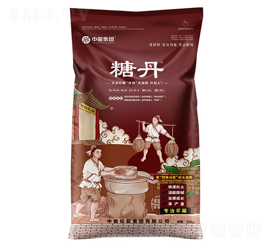 糖丹-中菌