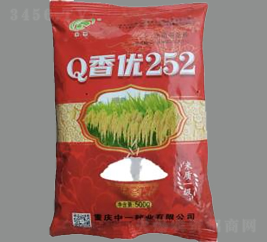 Qマ252-ˮN-rƼ