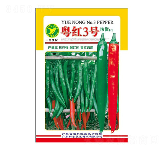 粵紅3號辣椒-辣椒種子-天禾農資